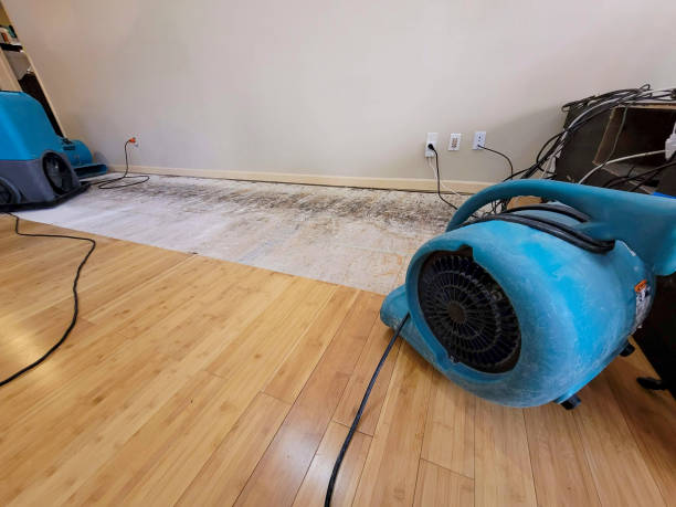 Professional Water Removal technician working in Fox River Grove, IL